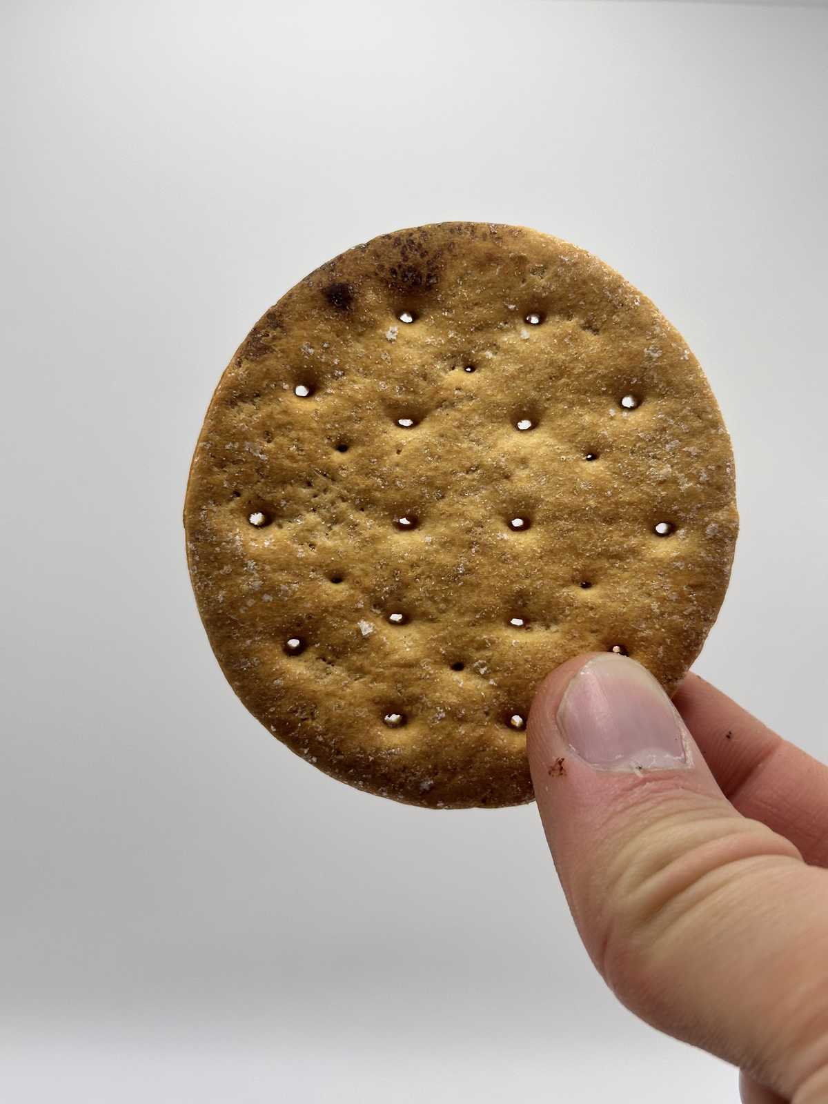 Cracker from 1952 Korean War Rations