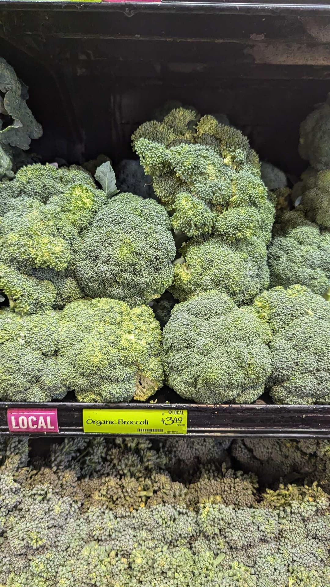 Whole Foods Organic Broccoli