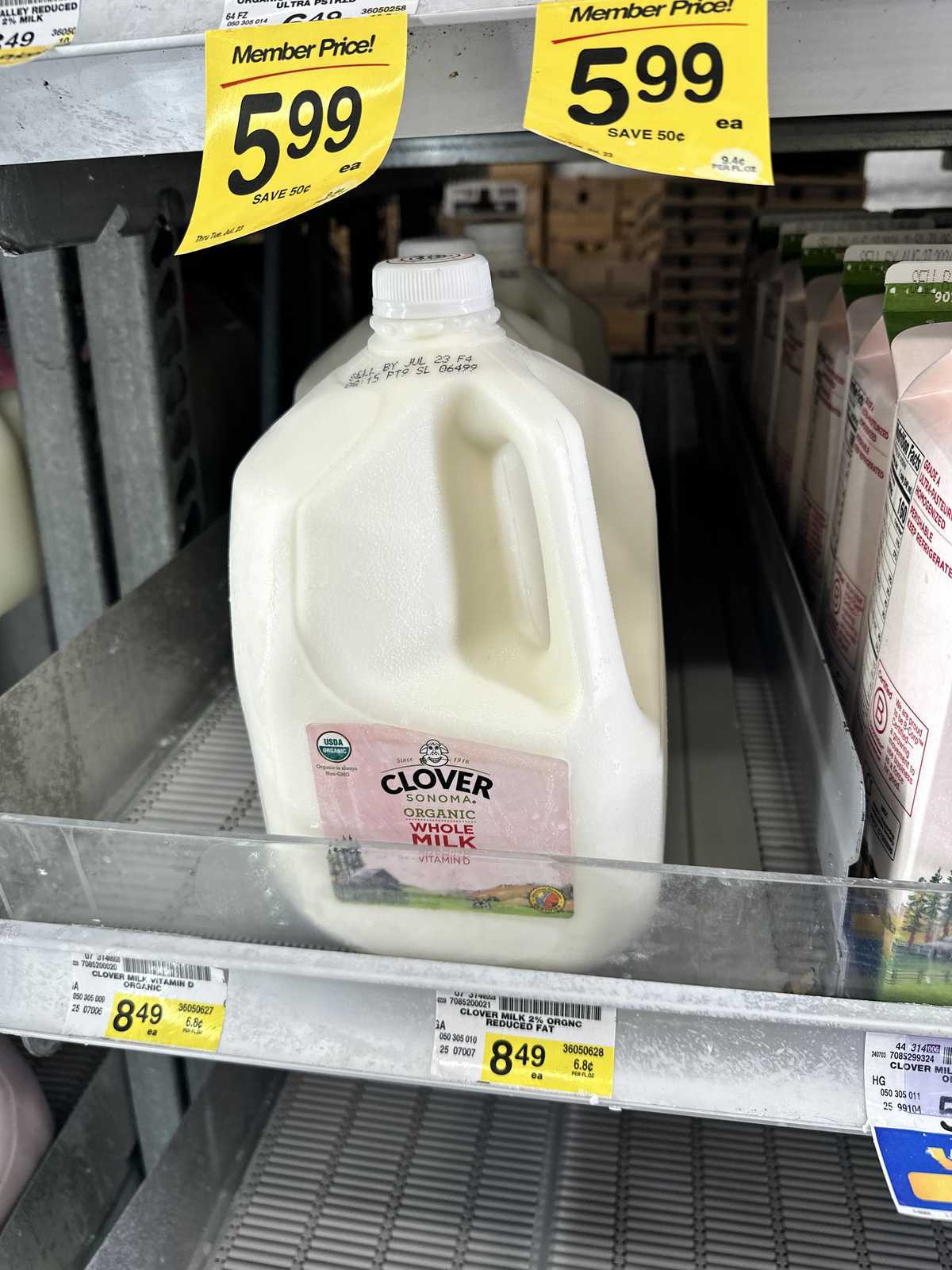 Clover Organic Whole Milk in Whole Gallon Jug