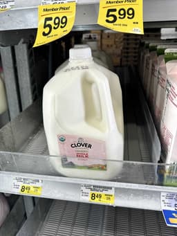 Clover Organic Whole Milk in Whole Gallon Jug
