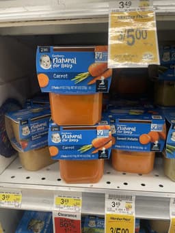 Gerber Baby Food Carrot Puree in Plastic