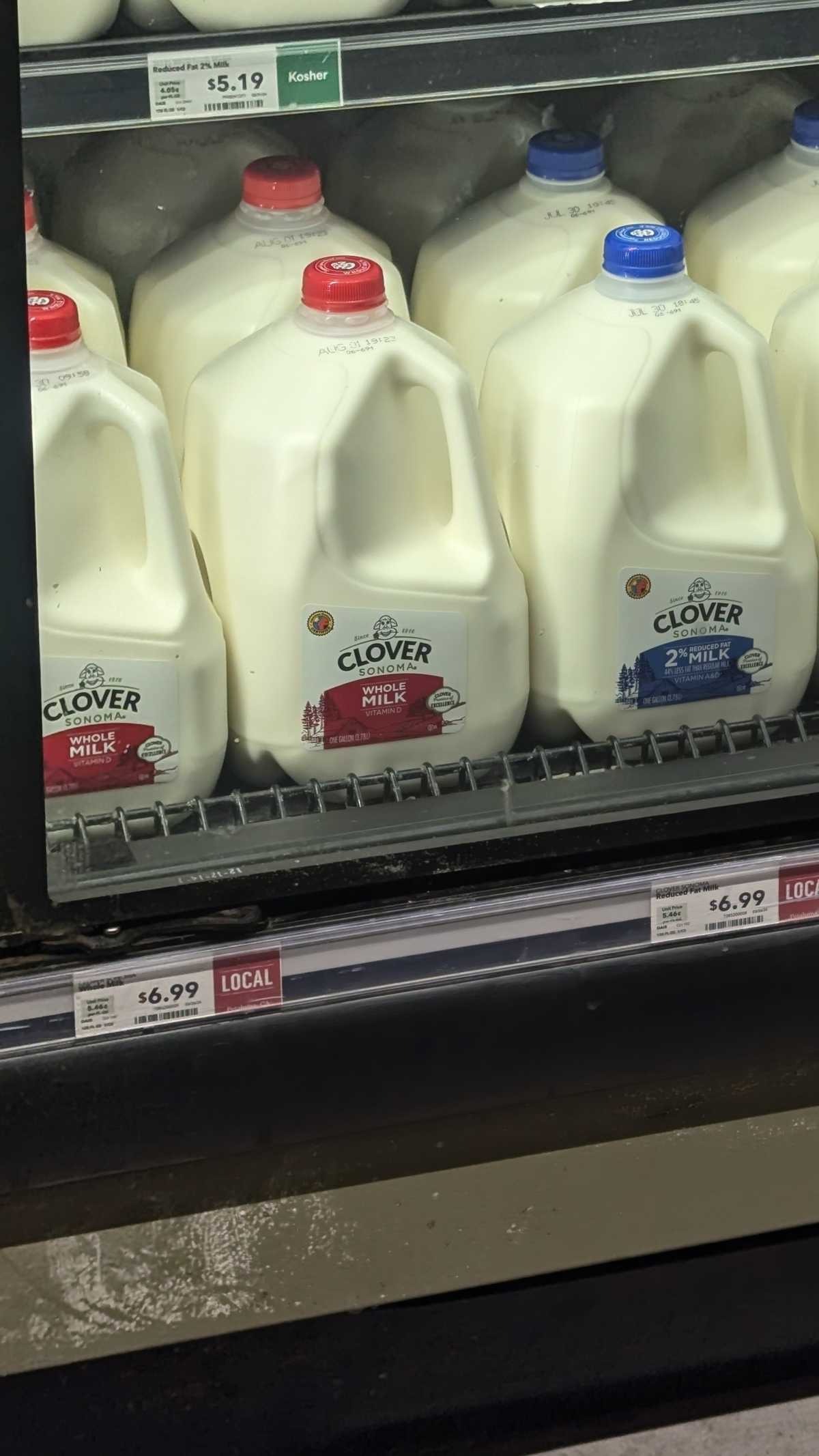 Clover Whole Milk in Whole Gallon Jug