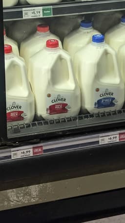 Clover Whole Milk in Whole Gallon Jug