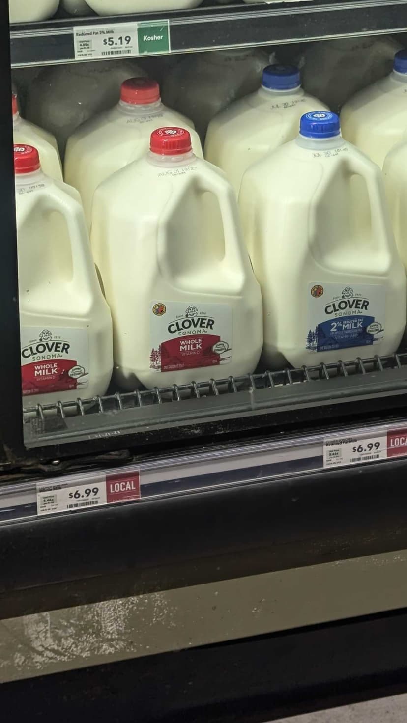 Clover Whole Milk in Whole Gallon Jug