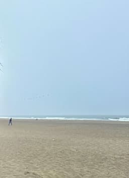 SF Ocean Water
