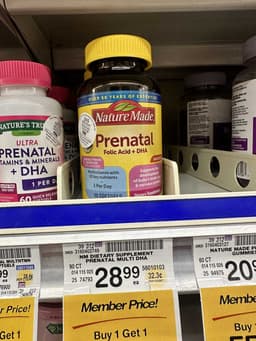 Nature Made Prenatal Folic Acid + DHA Supplement